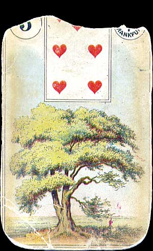 05-tree