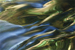 ripples-photo