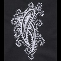 paisley_18