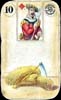 10-wheat